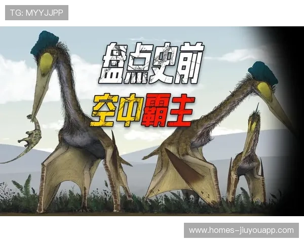 空中霸权:推理2026年为何头球将决定冠军归属。,空中霸主百科 空中霸权:推理2026年为何头球将决定冠军归属。,空中霸主百科